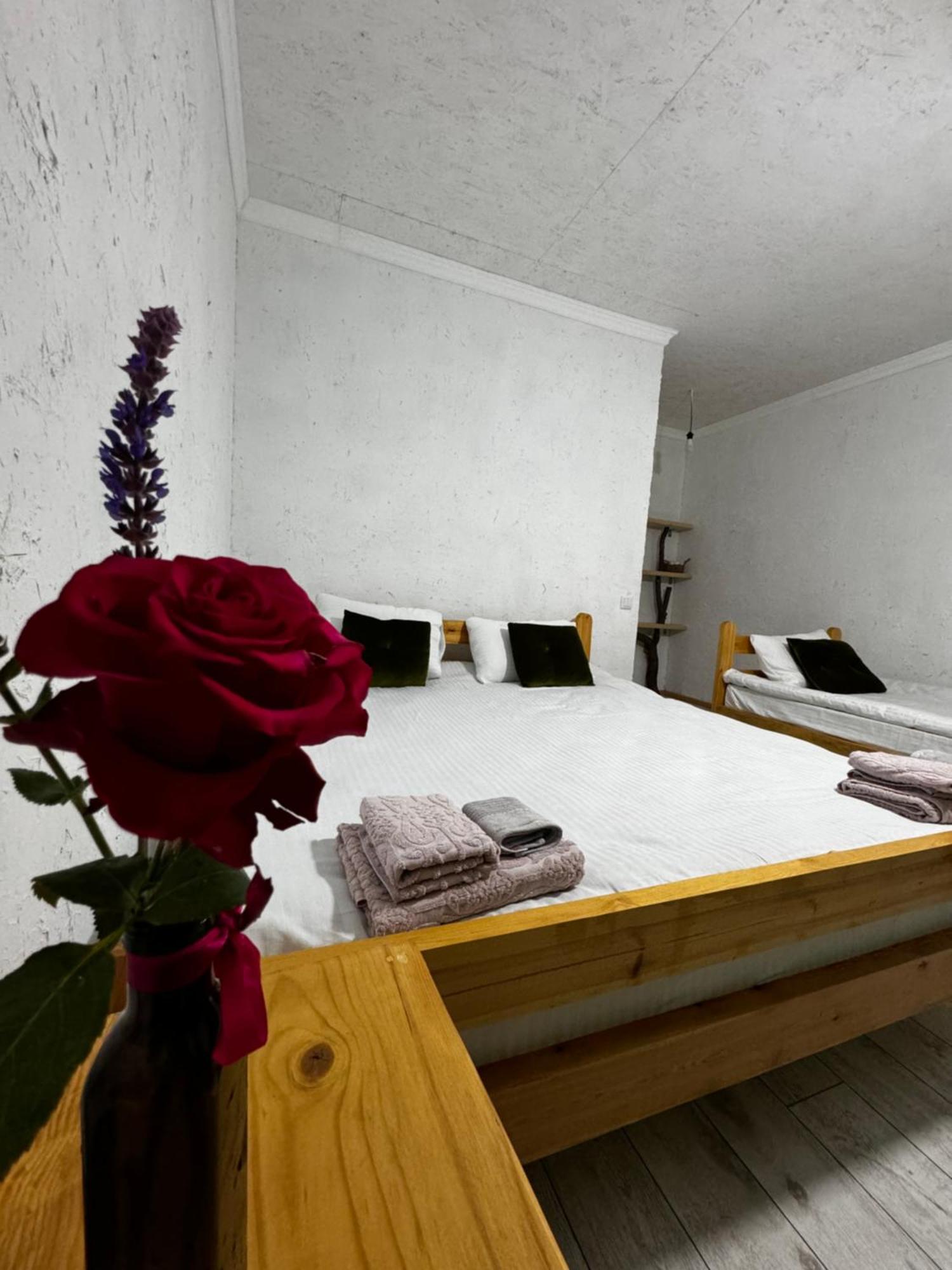 Eco Village Lodge Dzhetyoguz Zewnętrze zdjęcie